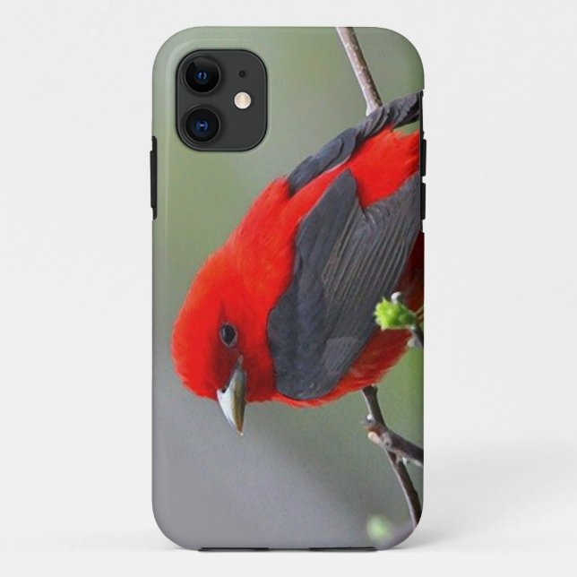 Funda De Case-Mate Para iPhone Bird red_iphone (Reverso)