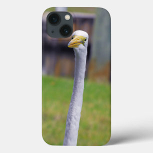 Funda Para iPhone 13 Bird with Long Neck