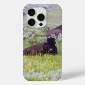 Funda Para iPhone 15 Pro Bison Dreams Phone Wallet
