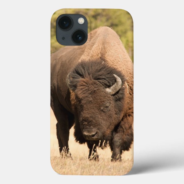 Funda De Case-Mate Para iPhone Bisonte (Reverso)