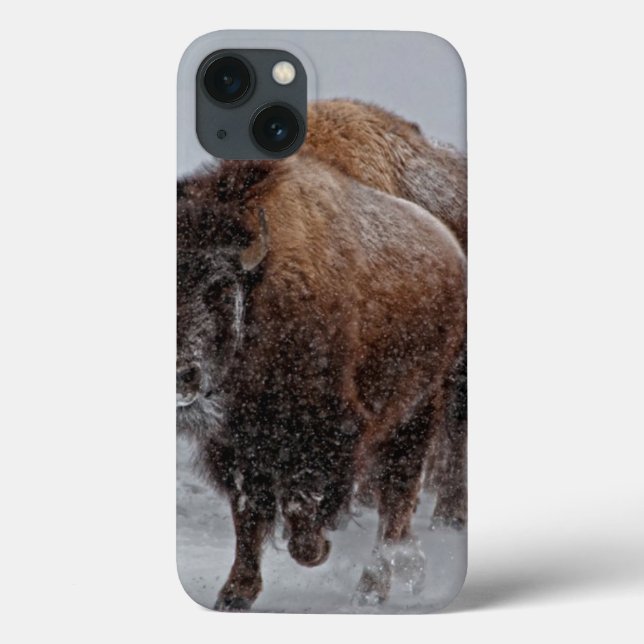 Funda De Case-Mate Para iPhone Bisonte de Yellowstone (Reverso)