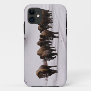 Funda Para iPhone 11 Bisonte en invierno