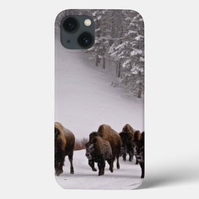 Funda De Case-Mate Para iPhone Bisonte en invierno (Reverso)