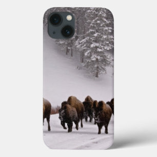 Funda Para iPhone 13 Bisonte en invierno
