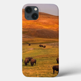 Funda Para iPhone 13 Bisonte que pasta en la colina en el valle de