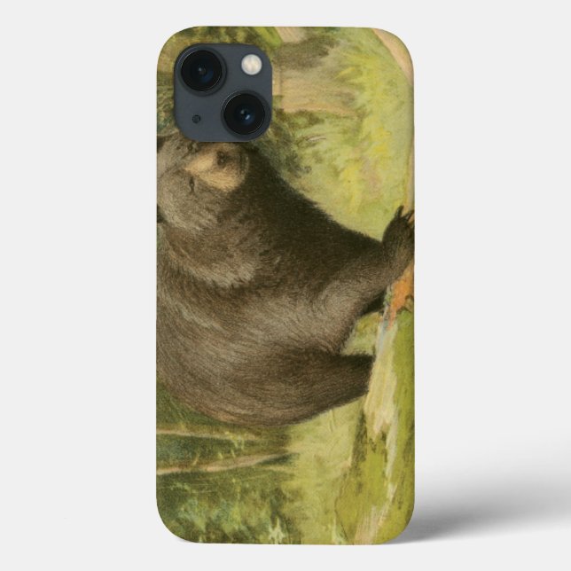 Funda De Case-Mate Para iPhone Black Bear Stepping on a Tree Trunk (Reverso)