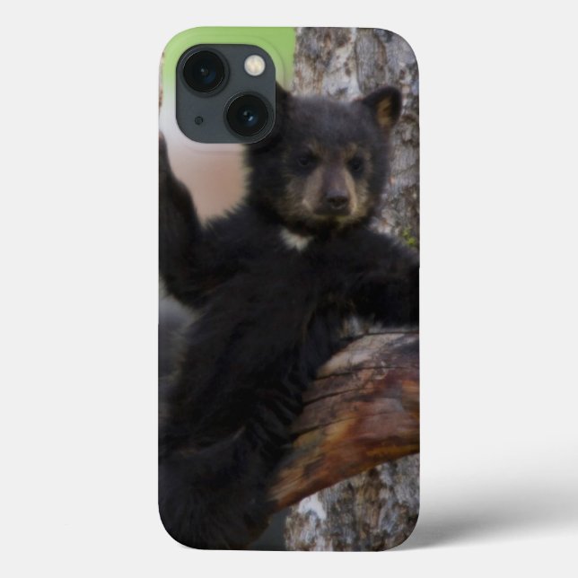 Funda De Case-Mate Para iPhone Black Bears Cub Lounging (Reverso)