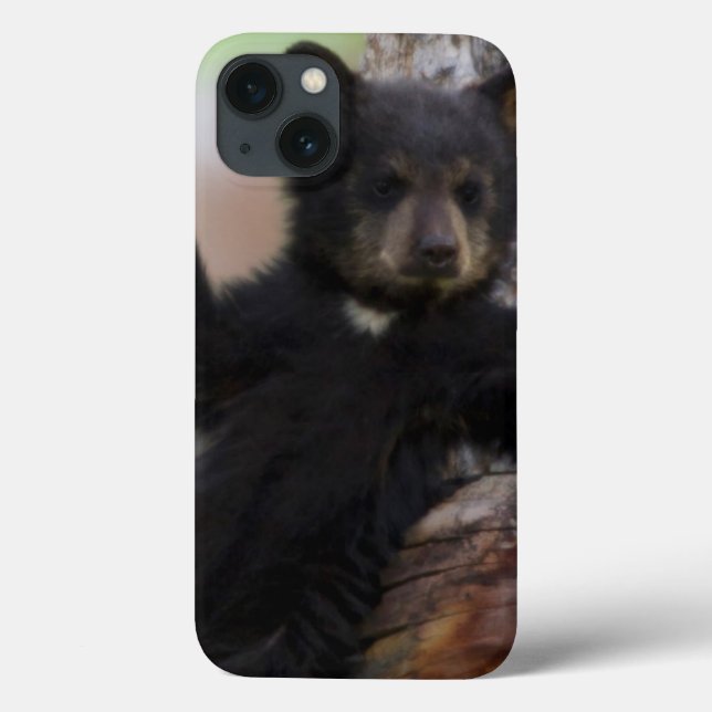 Funda De Case-Mate Para iPhone Black Bears Cub Lounging (Reverso)