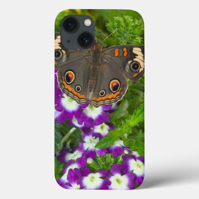 Funda De Case-Mate Para iPhone Black Swallowtail (Reverso)