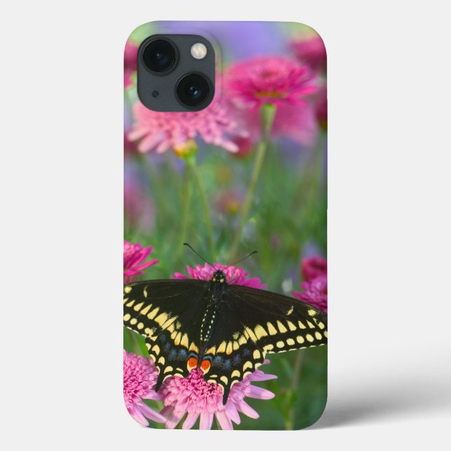 Funda De Case-Mate Para iPhone Black Swallowtail Butterfly on Dark Pink Flower (Reverso)