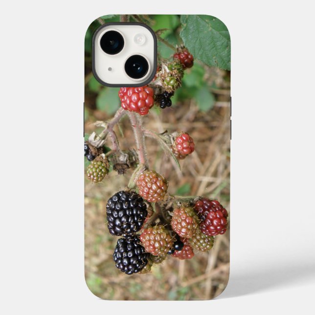 Funda De Case-Mate Para iPhone Blackberry Bonanza (Reverso )