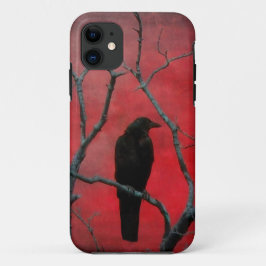 title_seo2 Blackbird In The Red