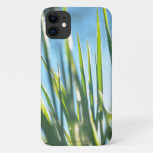 Funda Para iPhone 11 Blades iluminados por el sol