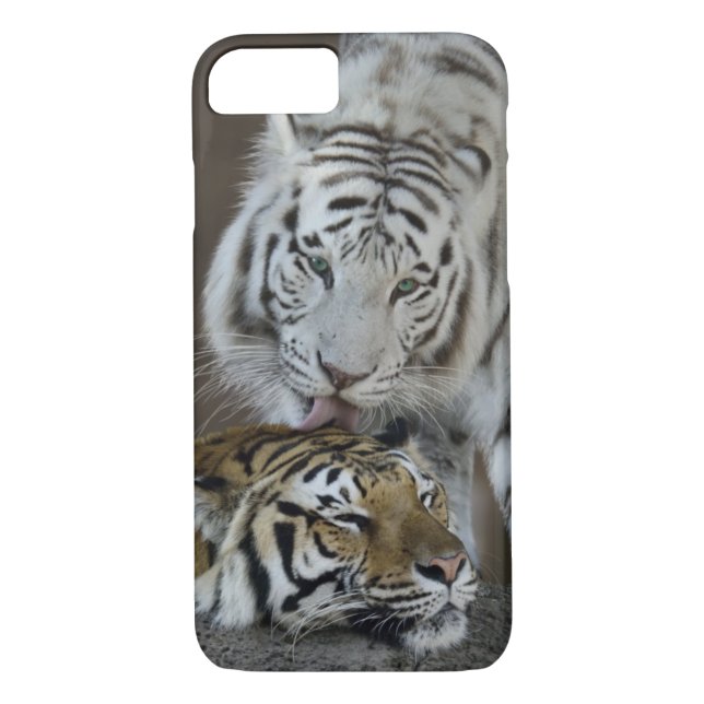 Funda De Case-Mate Para iPhone Blanco y reclinación de los tigres de Brown (Reverso)