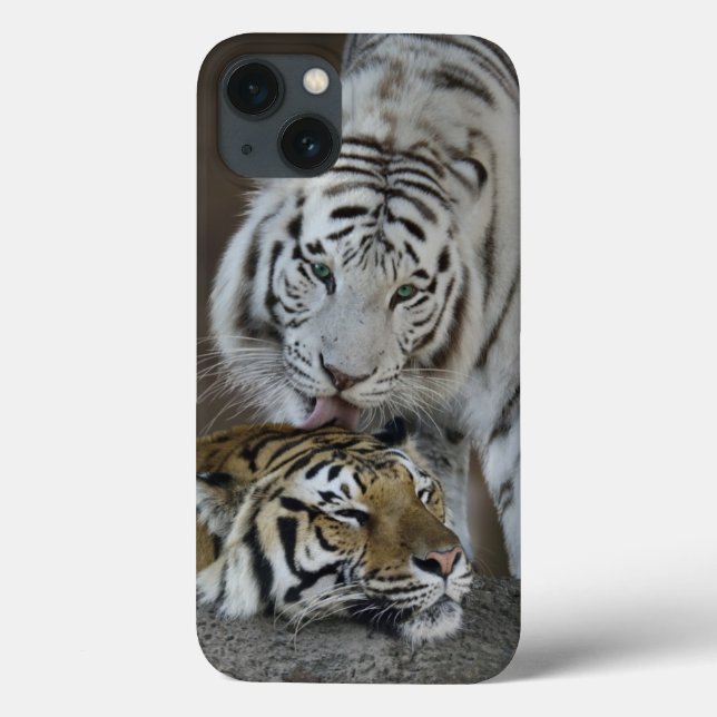 Funda De Case-Mate Para iPhone Blanco y reclinación de los tigres de Brown (Reverso)