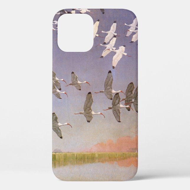 Funda De Case-Mate Para iPhone Bloque de Ibis volando sobre humedales, aves vitíc (Reverso )