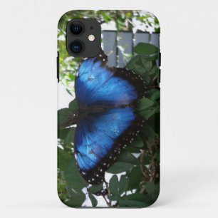 FUNDA PARA iPhone 11 BLUE BUTTERLY