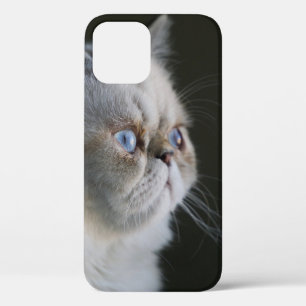 FUNDA PARA iPhone 12 BLUE GAZE