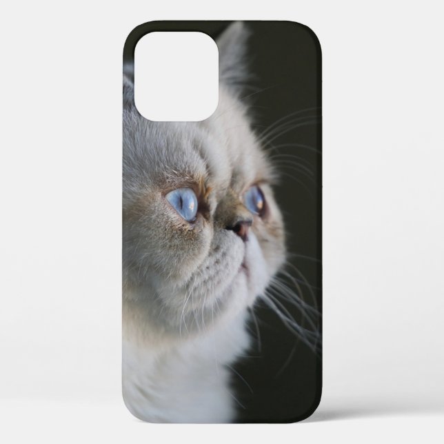 FUNDA DE Case-Mate PARA iPhone BLUE GAZE (Reverso )