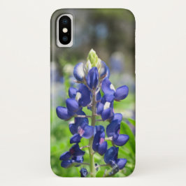 title_seo2 Bluebonnet