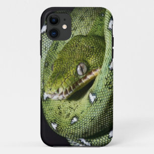 Funda Para iPhone 11 Boa esmeralda de la serpiente verde del árbol en