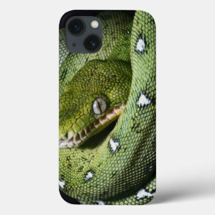 Funda Para iPhone 13 Boa esmeralda de la serpiente verde del árbol en