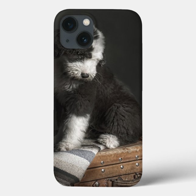 Funda De Case-Mate Para iPhone Bobtail puppy portrait in studio (Reverso)