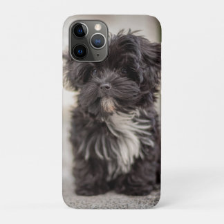 Funda Para iPhone 11 Pro Bolonka Puppy
