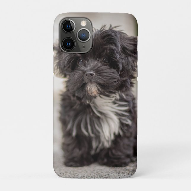 Funda De Case-Mate Para iPhone Bolonka Puppy (Reverso)