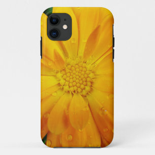 Funda Para iPhone 11 bonita flor de margarita amarilla fresca