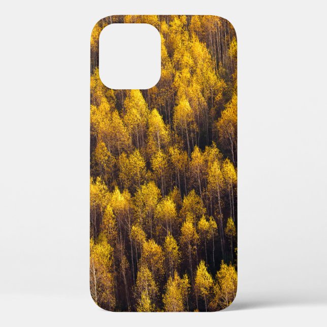 FUNDA DE Case-Mate PARA iPhone BONITO BOSQUE DE PINOS (Reverso )