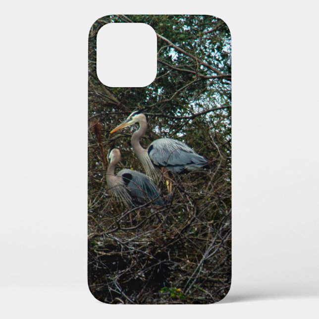 Funda De Case-Mate Para iPhone Bonito de las aves de la garza azul (Reverso )