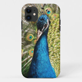 Funda Para iPhone 11 Bonito Peacock