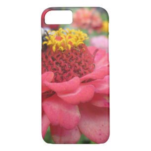 title_seo2 Bonito Zinnia con abeja