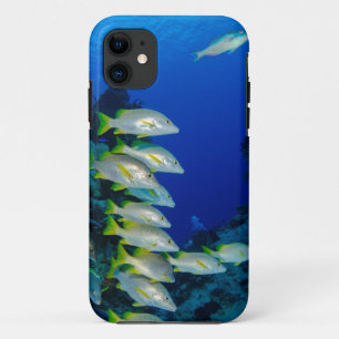 Funda Para iPhone 11 Bonitos peces de colores   Mejor regalo para la vi