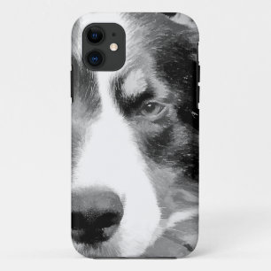 TITLE_SEO2 BORDER COLLIE