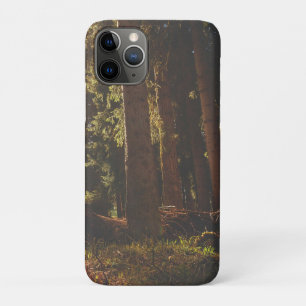 Funda Para iPhone 11 Pro Bosque