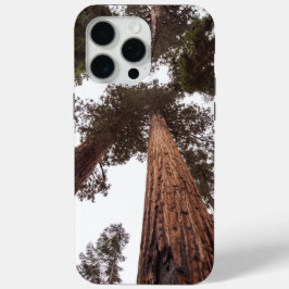 Funda Para iPhone 15 Pro Max bosque, árbol