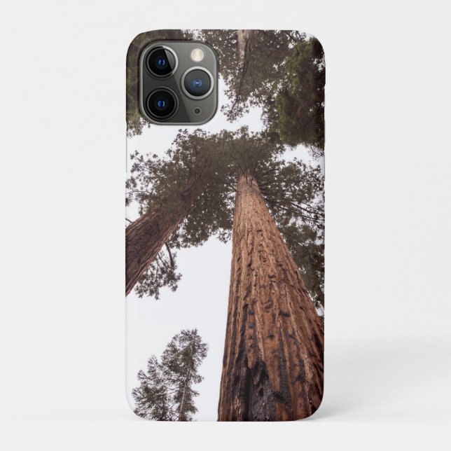 Funda De Case-Mate Para iPhone bosque, árbol (Reverso)