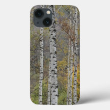 Bosque Birch Foto Apple iPhone 8/7, Tough Xtreme