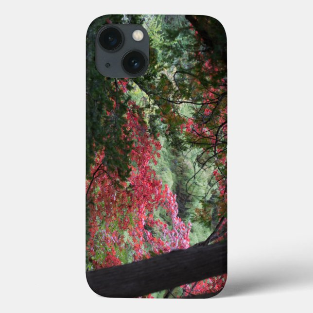 Funda De Case-Mate Para iPhone Bosque de otoño (Reverso)