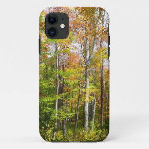 title_seo2 Bosque de otoño I Fotografía de paisaje otoñal