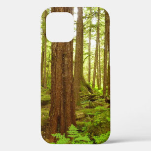 Funda Para iPhone 12 Bosque Lluvioso Templado de Alaska