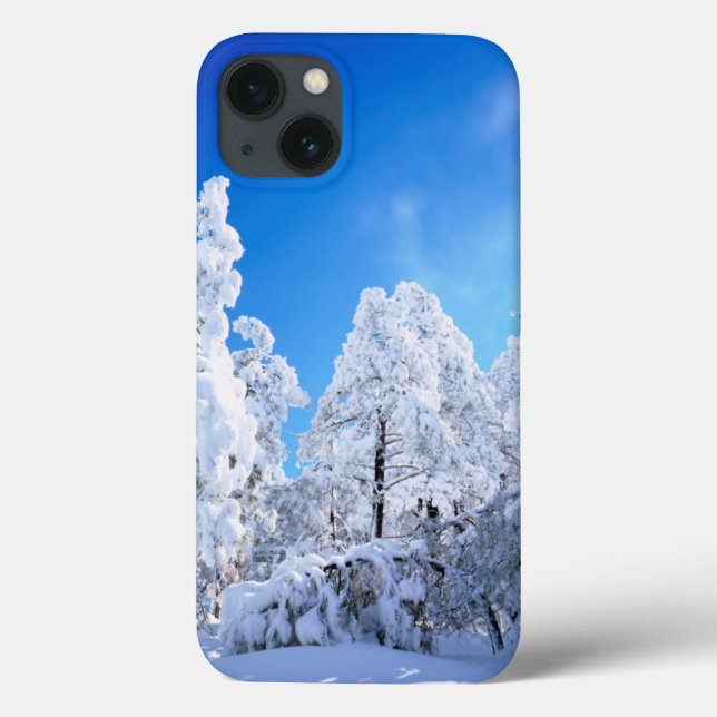 Funda De Case-Mate Para iPhone Bosque nacional de Cleveland (Reverso)
