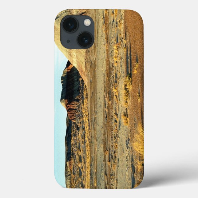 Funda De Case-Mate Para iPhone Bosque Petrificado Desierto (Reverso)