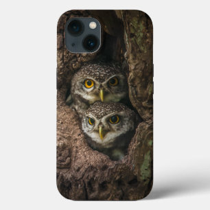 Funda Para iPhone 13 Bosques   Dos lechuzas mirando