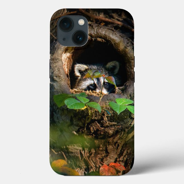 Funda De Case-Mate Para iPhone Bosques | Raccoon Peeking (Reverso )