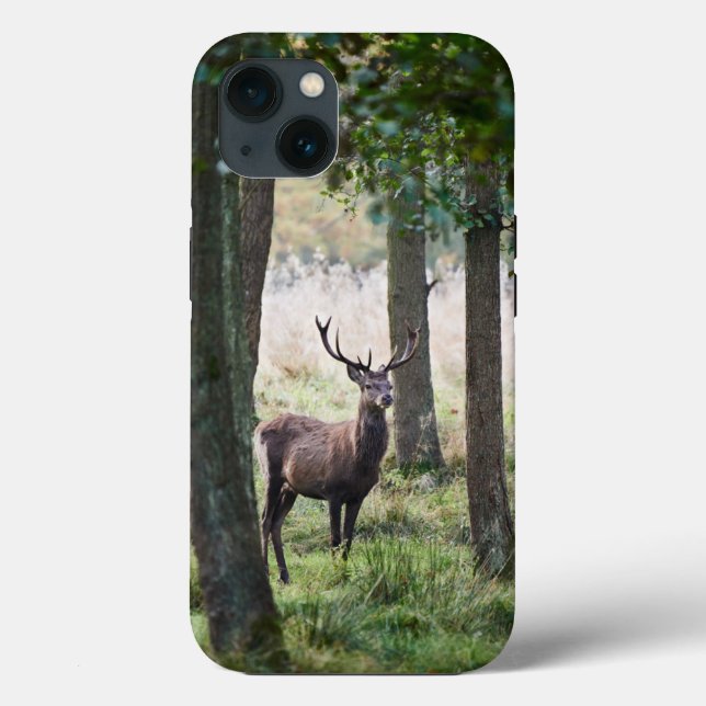Funda De Case-Mate Para iPhone Bosques | Woodlands & Red Deer (Reverso )