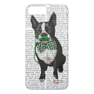 title_seo2 Boston Terrier Con Dolor Verde Y Bastante