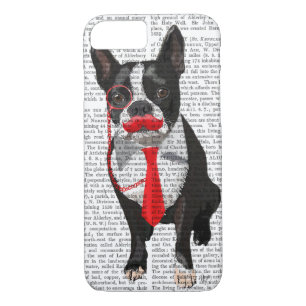 title_seo2 Boston Terrier con el taco rojo y el bigote 2